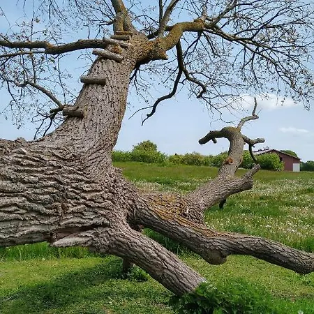 Luxe tent Cosy Glamping *