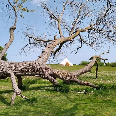 Luxe tent Cosy Glamping Stege